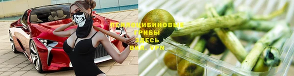 ALPHA PVP Алексеевка