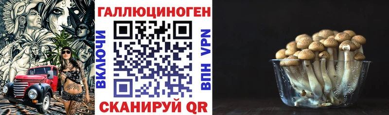 сколько стоит Знаменск Галлюциногенные грибы мицелий