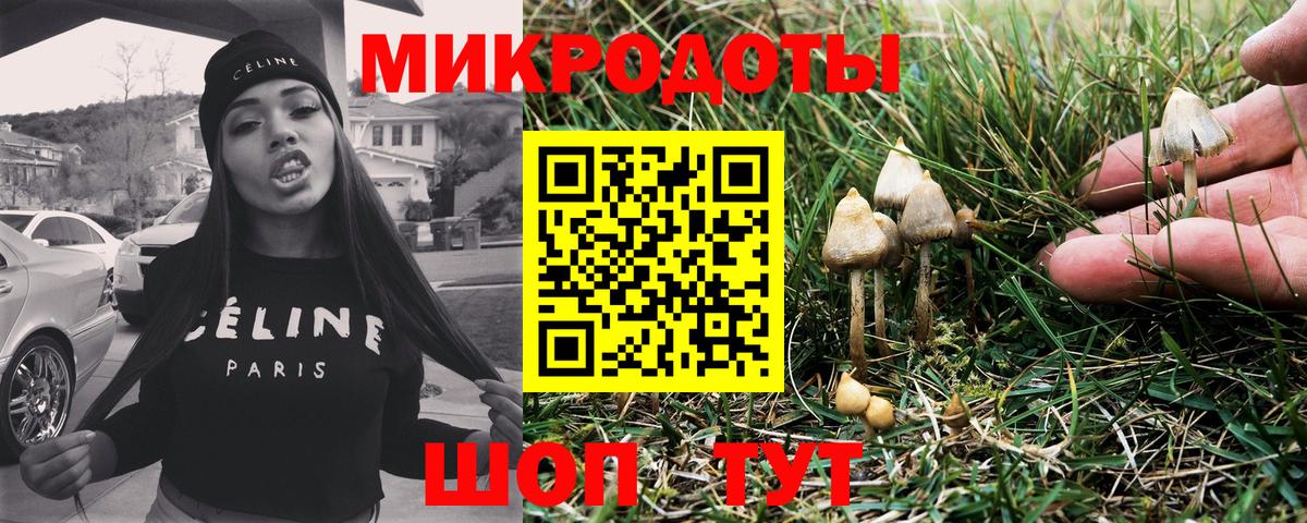Псилоцибиновые грибы Psilocybine cubensis Знаменск