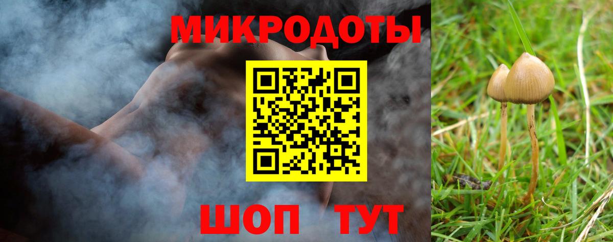 Знаменск  Галлюциногенные грибы прущие грибы  Вход с VPN  Псилоцибиновые грибы мухоморы 